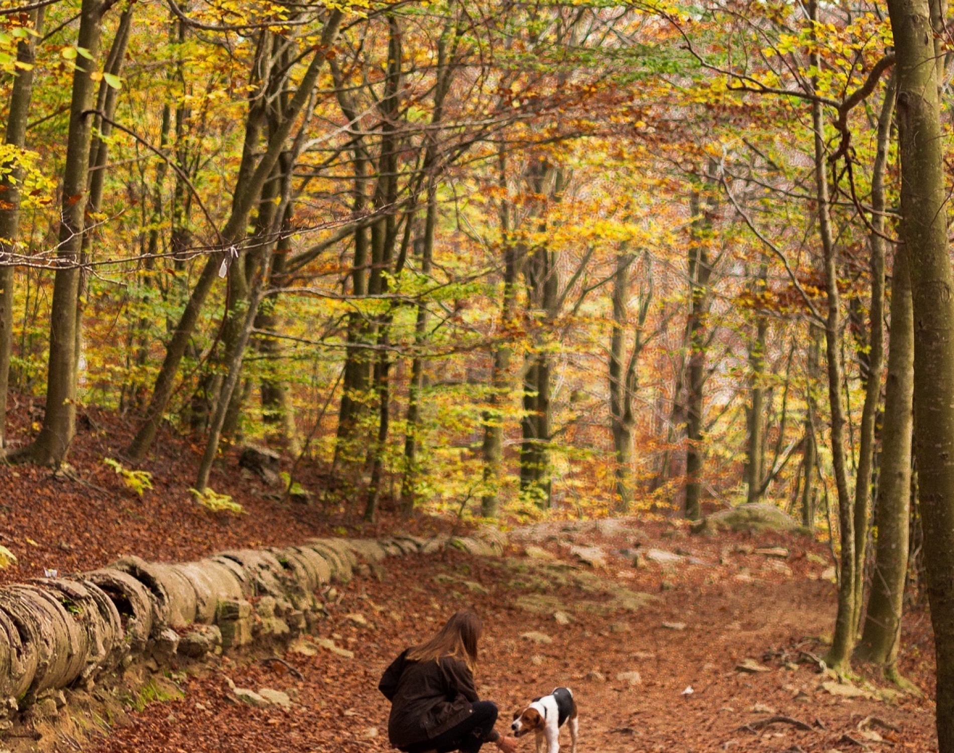 Colette der kinderen P9h G9 T Po V3 M unsplash